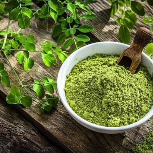Moringa oleifera